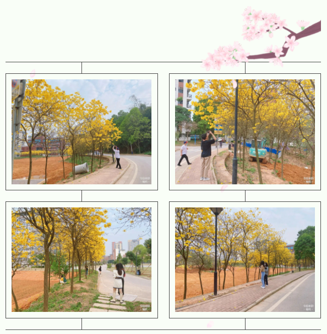 企业微信截图_1658400057845.png