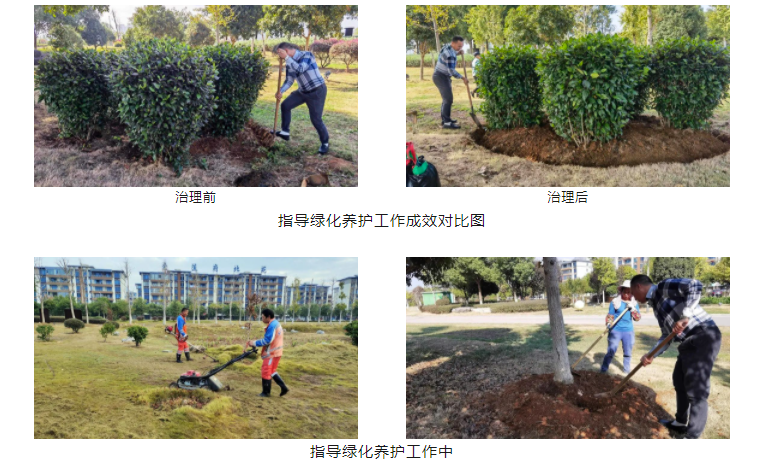 企业微信截图_16805077427384.png