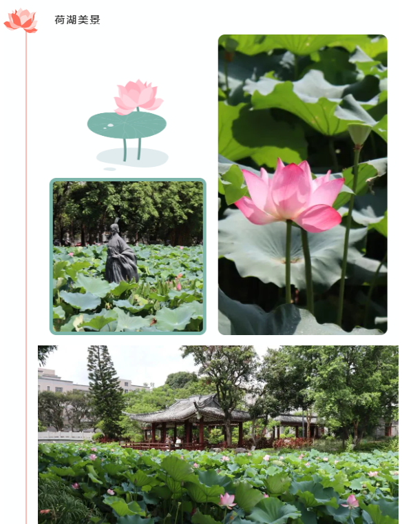 企业微信截图_17125636811260.png