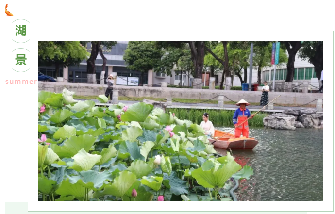 企业微信截图_17125673308882.png