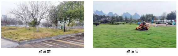 企业微信截图_1713496530457.png