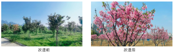 企业微信截图_17134965368545.png