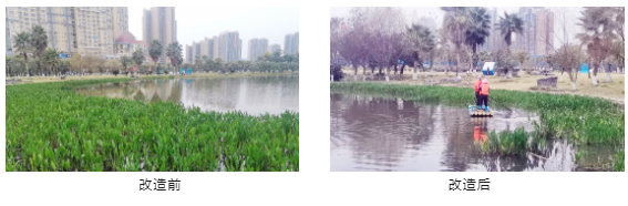 企业微信截图_17134965435043.png