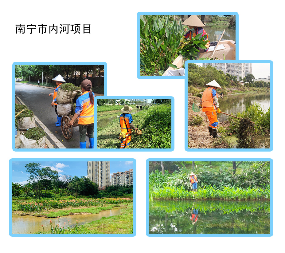 内河、柳心湖.jpg