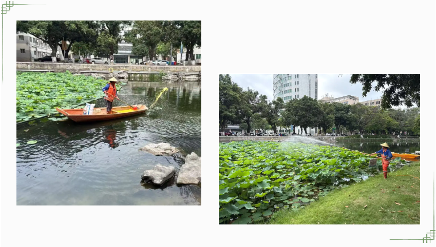 企业微信截图_17477088555011.png