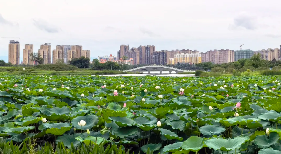 企业微信截图_17519617869621.png