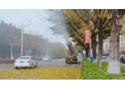 城区街道保卫 | 环境整治出新招，多措并举清落叶