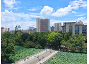广西大学第十八届荷花节启幕：传承廉韵，共绘清廉校园新画卷